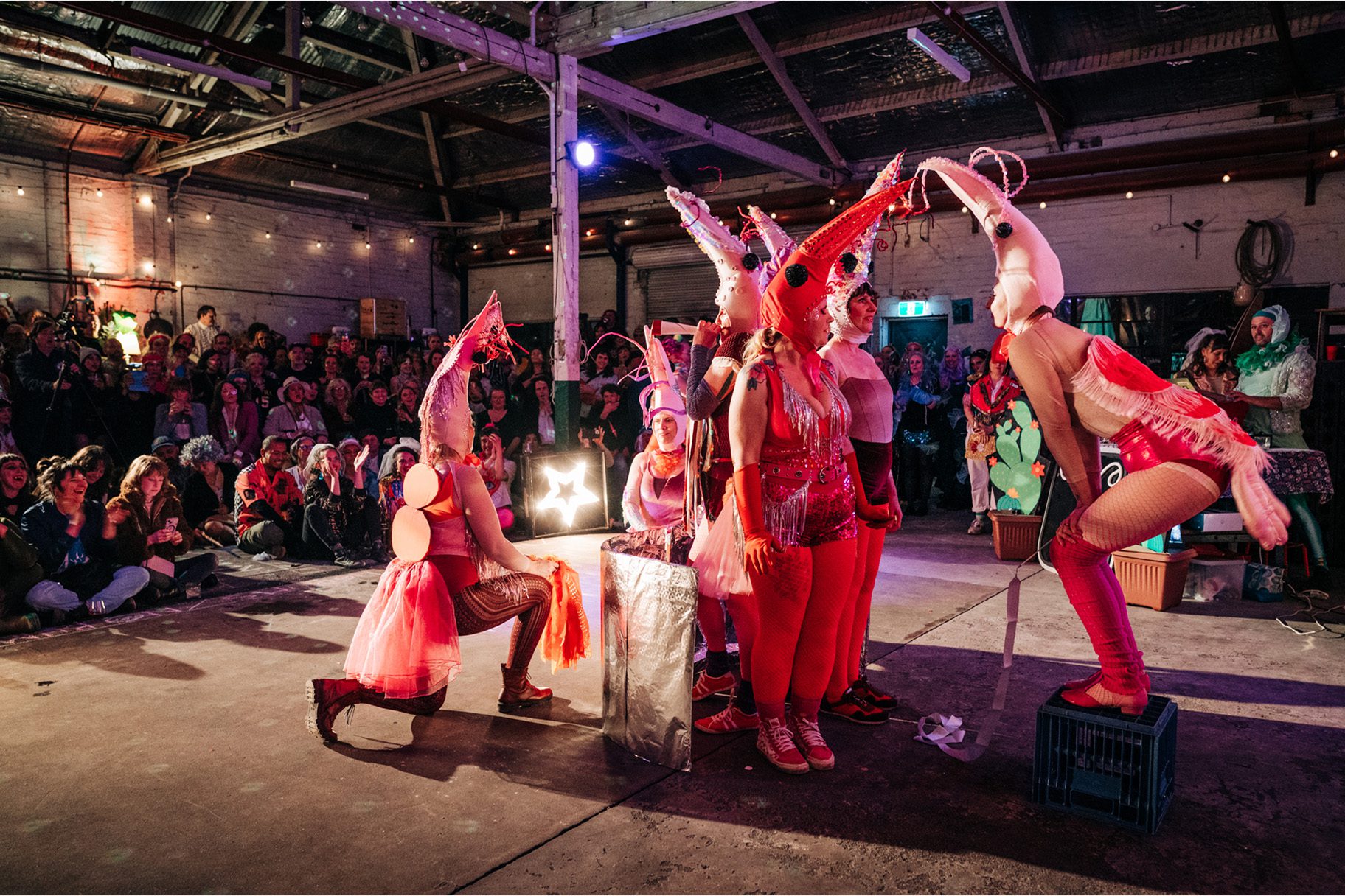Hot Moves No Pressure 2026 - Penny Ryan Photography